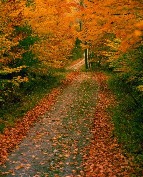 fall foliage poconos mountain bike trails