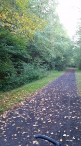 gorge trail from white haven to rockport