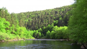 The Beautiful Lehigh Gorge Poconos PA