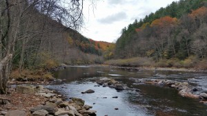 Lehigh River inside the Lehigh Gorge State Park during Fall Foliage Season
