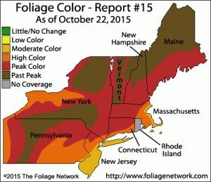 Northeast US Fall Foliage Map