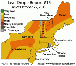 Northeast US Fall Foliage Leaf Drop Map