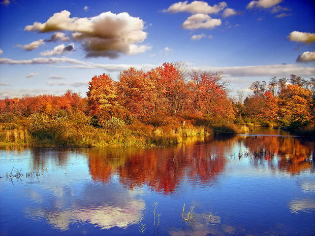 Pocono Mountains Fall Foliage Report 2019