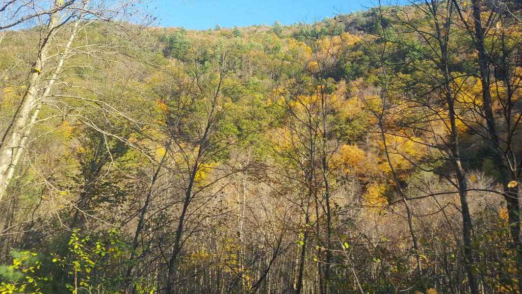 Fall Foliage Report 2019 - Jim Thorpe Bike Trail