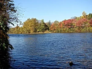 Riverview Park Campground Lehighton PA